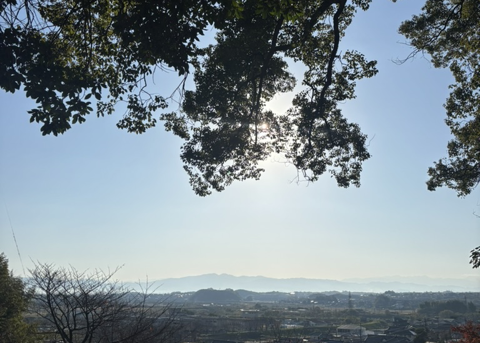 奈良の山並みと木漏れ日。タネクトが生まれた土地の風景。